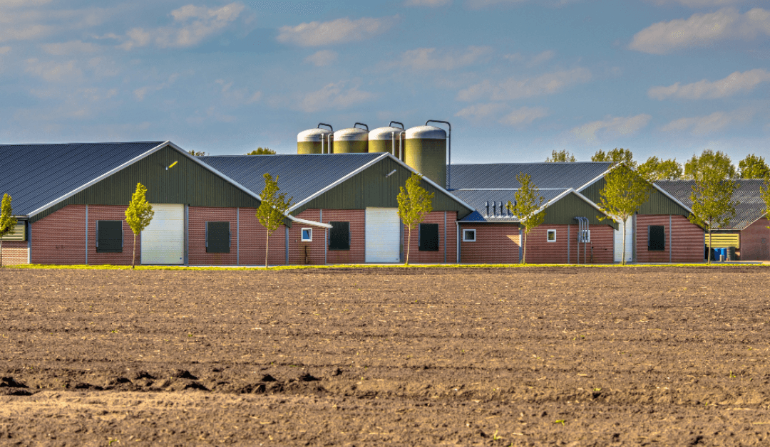 What are The Differences between Pole Barns and Pre- Engineered Metal Barns?