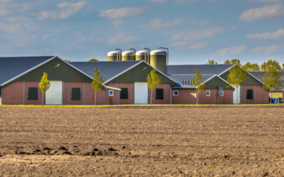 What are The Differences between Pole Barns and Pre- Engineered Metal Barns?