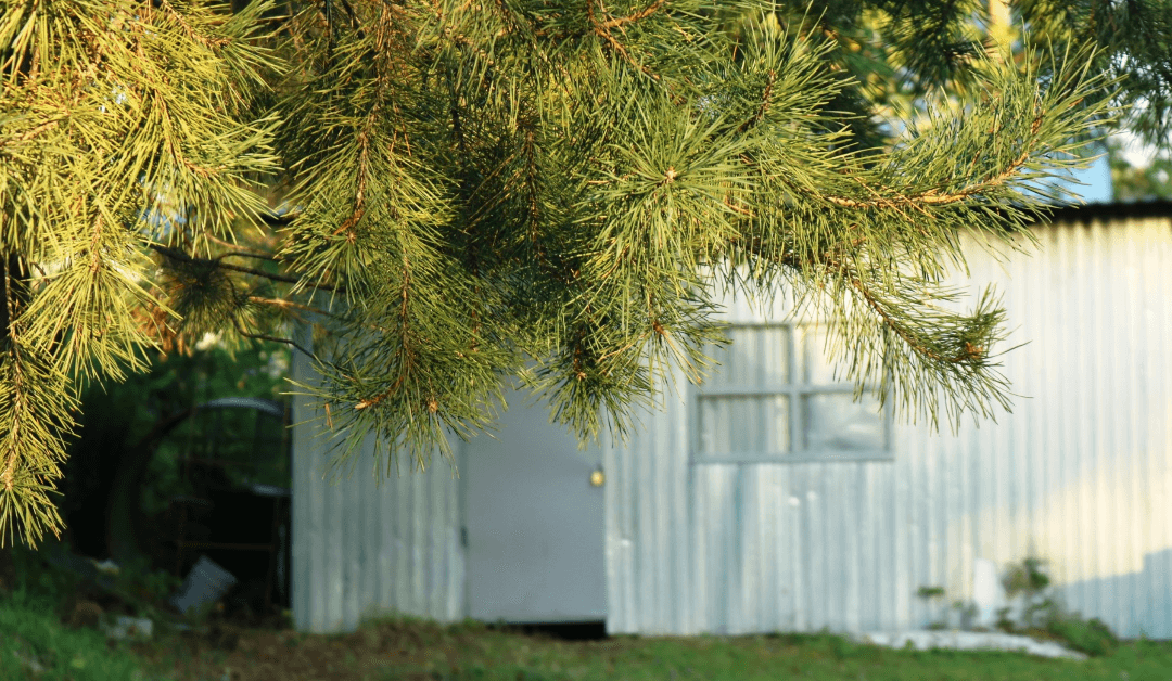 Metal Built Sheds Vs. Wooden Built Sheds. Which One Should I Choose?