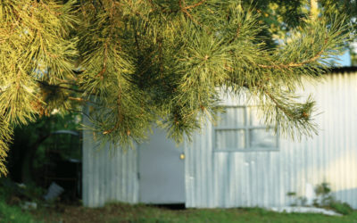 Metal Built Sheds Vs. Wooden Built Sheds. Which One Should I Choose?